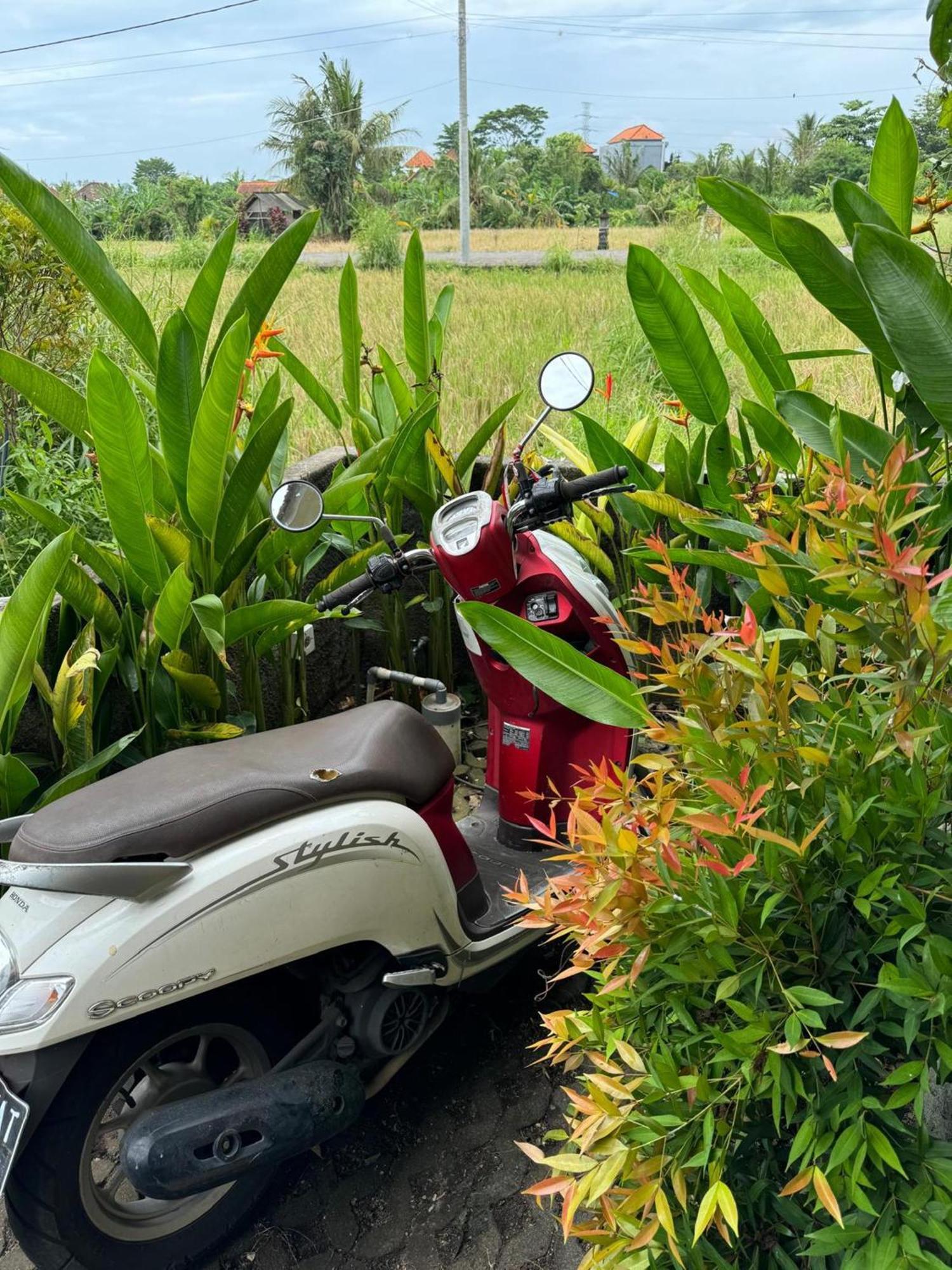 Mandala Rengganis Ubud View Private Villa By Eps Exterior foto