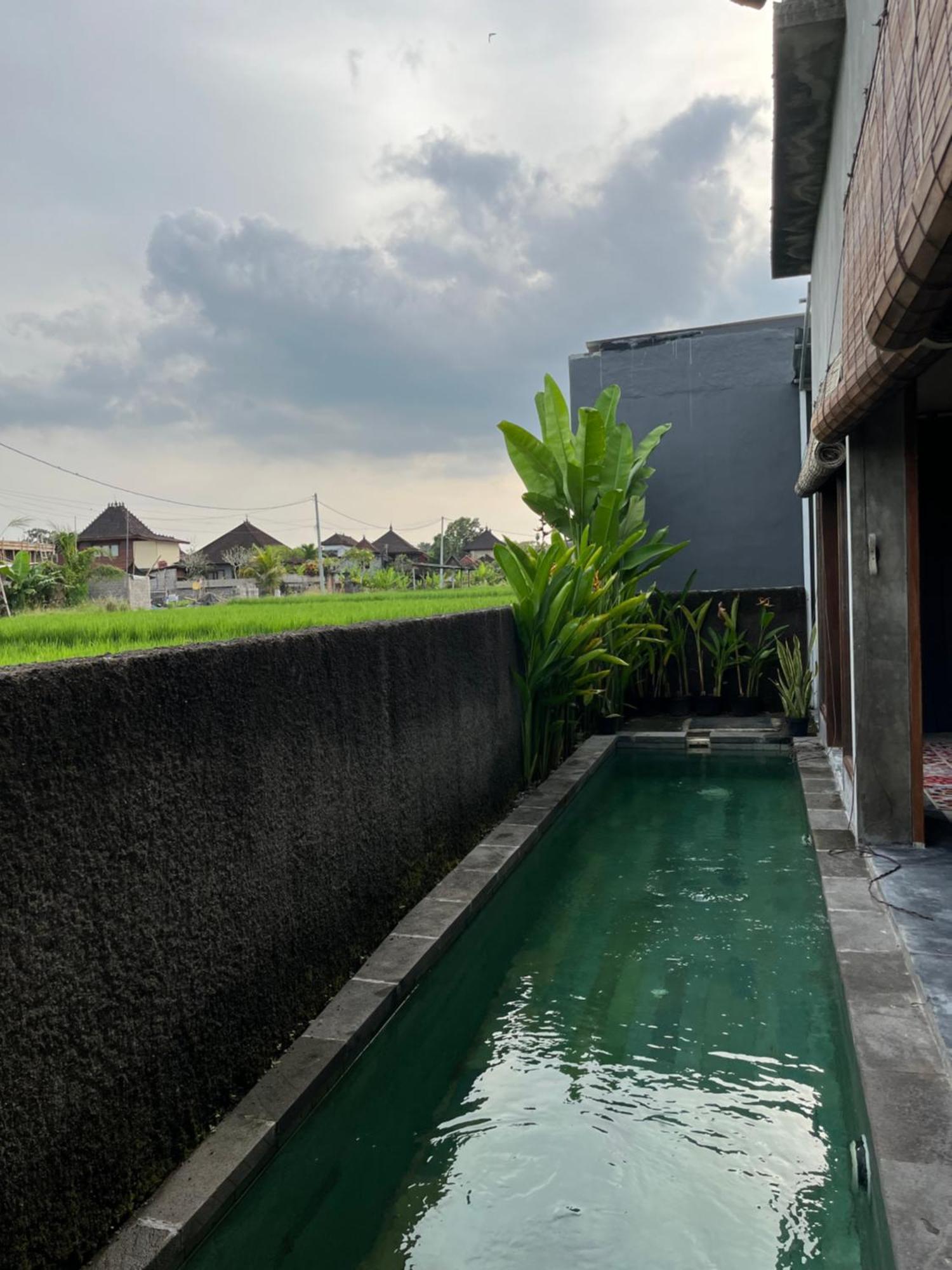 Mandala Rengganis Ubud View Private Villa By Eps Exterior foto